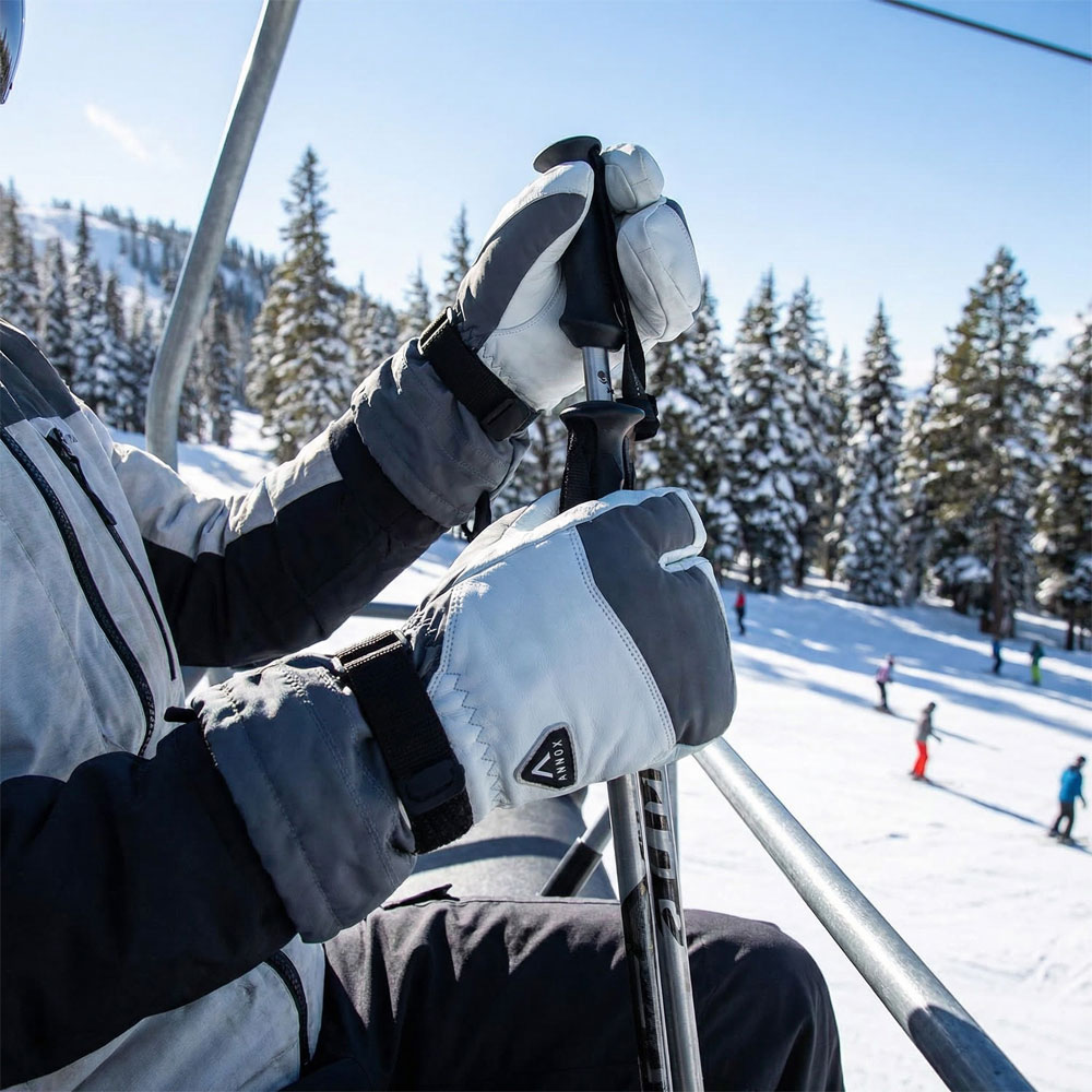 Annox Alpine Leather Ski Gloves