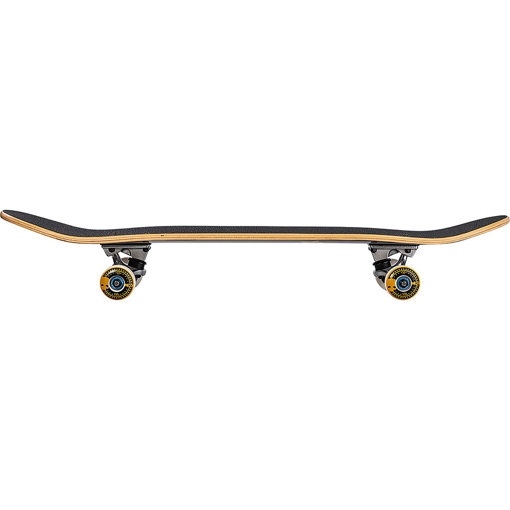 Skateboard Complete Skateboards 22 Inch Mini Cruiser Skateboards for  Beginners Kids Boys and Girls
